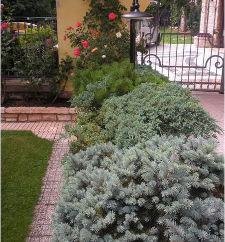 2� Concorso BALCONI E GIARDINI FIORITI - 2011